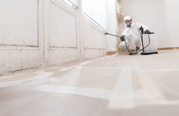 24/7 Emergency Attic Mold Remediation experts in Immaculata, PA