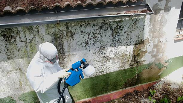 Top rated local Attic Mold Remediation specialists in Immaculata, PA